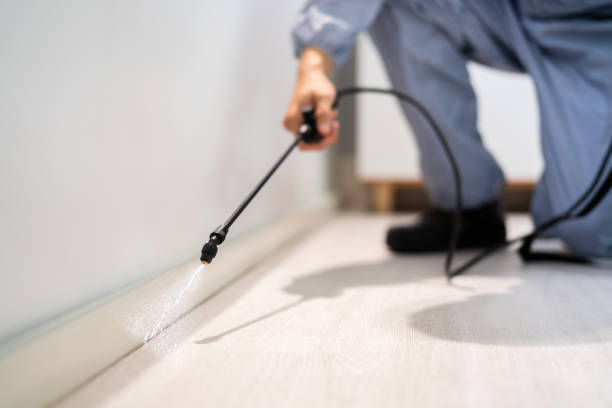 Professional exterminator conducting IPM assessment in Hollis